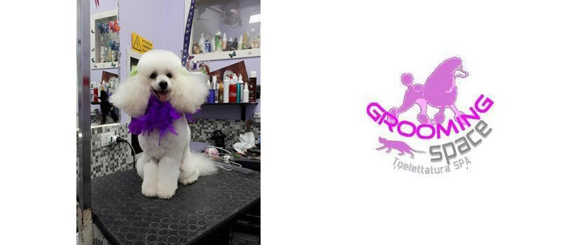 Grooming Space di Luca Fogli ed Elisabetta Cammalleri — Roma