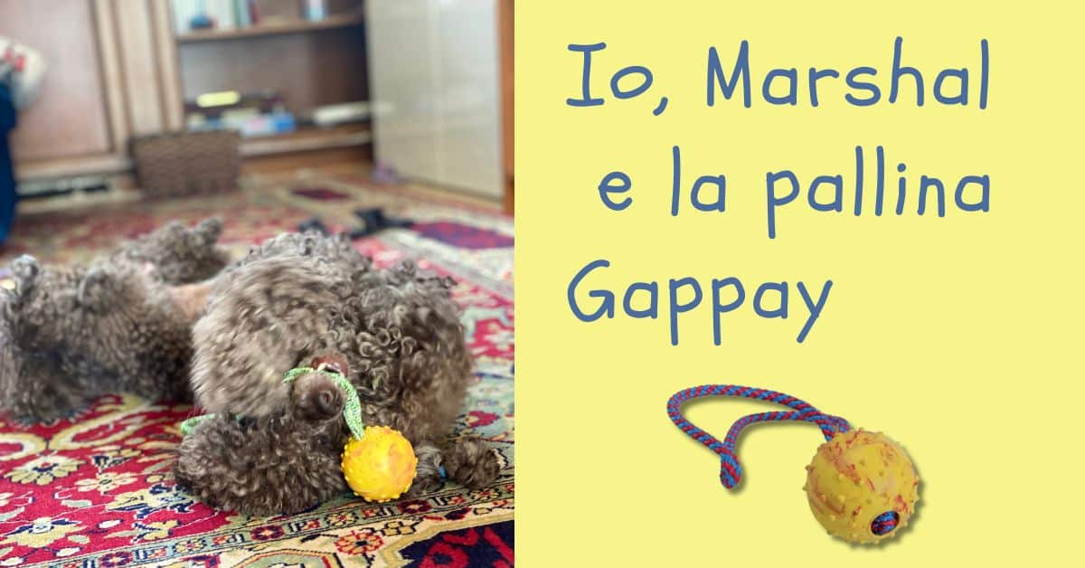 giocare con il cane