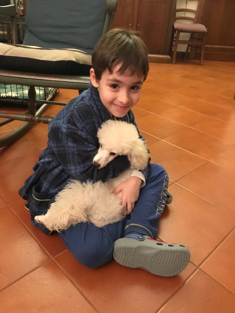 Barbone e bambini: convivono davvero bene insieme?