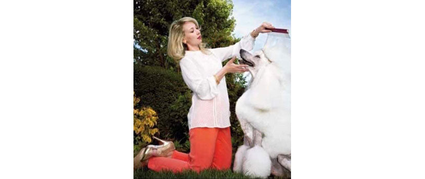 Beautiful Dog di Sonia Merati — Sesto San Giovanni Milano