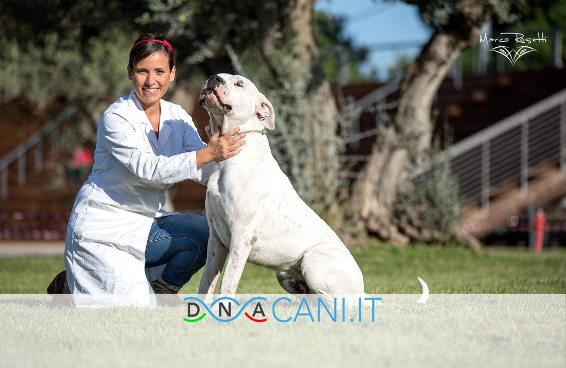 Dnacani