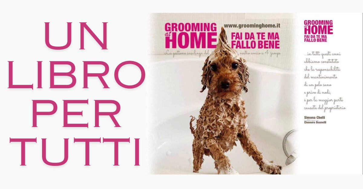 Grooming at home