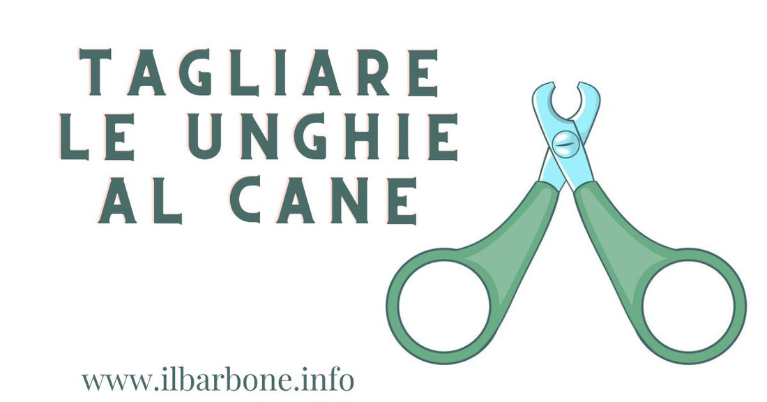 Tagliare le unghie al cane: guida pratica.