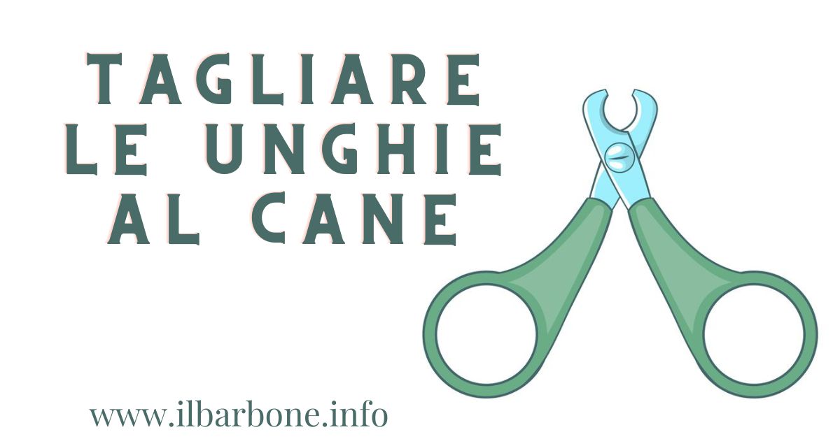 Tagliare le unghie al cane: guida pratica.