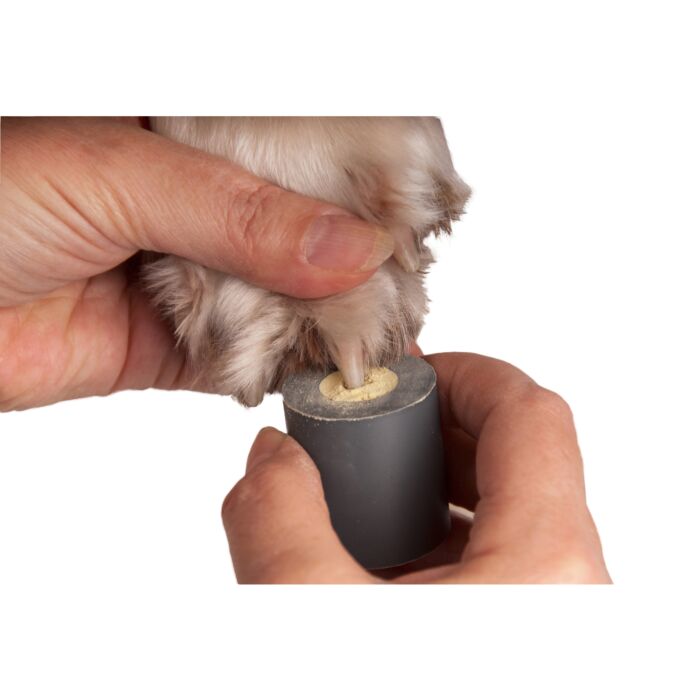 Applicatore di polvere emostatica cani e gatti