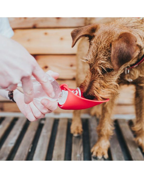 Borraccia per cani con ciotola in silicone Hunter