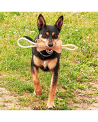 Ossicino per cani in camoscio di FunnyZoo