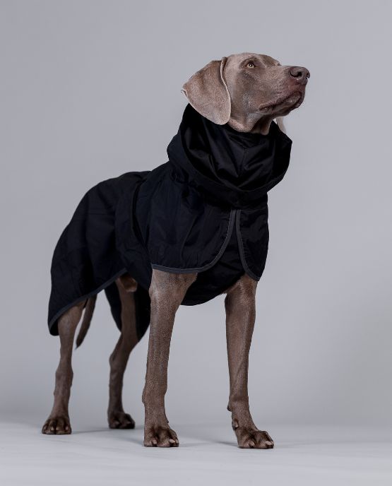 Impermeabile per cani Paikka Recovery Lite