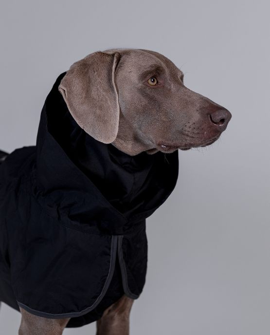 Paikka impermeabili cani