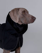 Paikka impermeabili cani