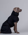 impermeabile per cani