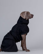 impermeabile per cani