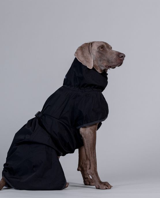 impermeabile per cani
