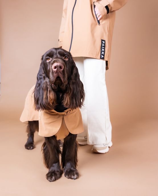 Paikka Raincoat