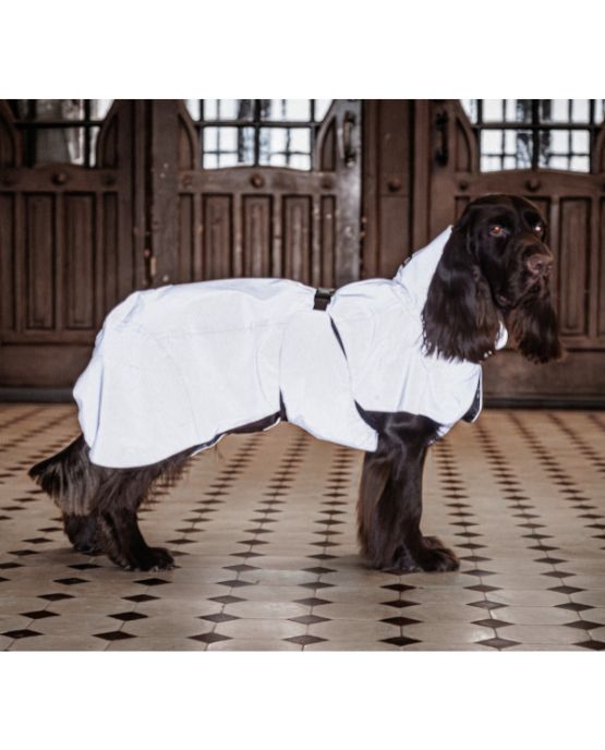 Impermeabile per cani visibile al buio