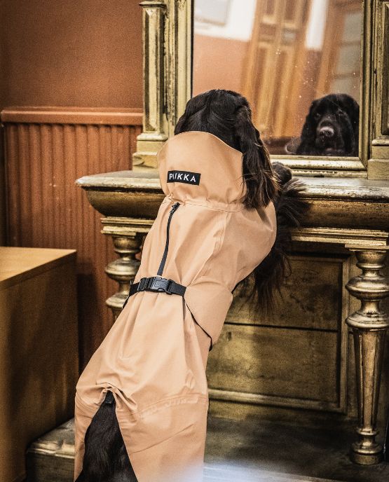 Paikka raincoat