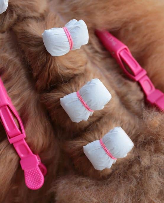 pacchetti milord dog