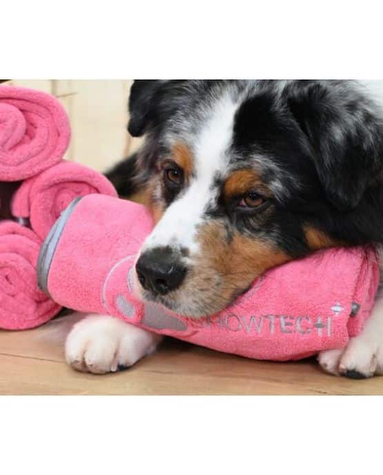 Coral fleece - asciugamano per cani