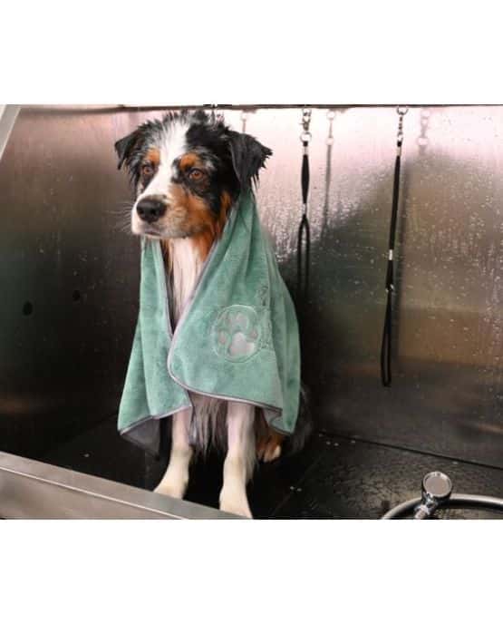 Coral fleece - asciugamano per cani
