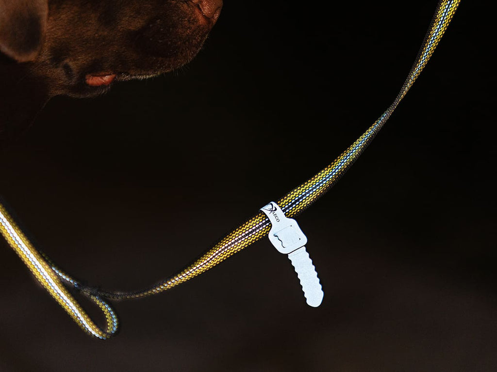 Fascia riflettente sul guinzaglio Grip