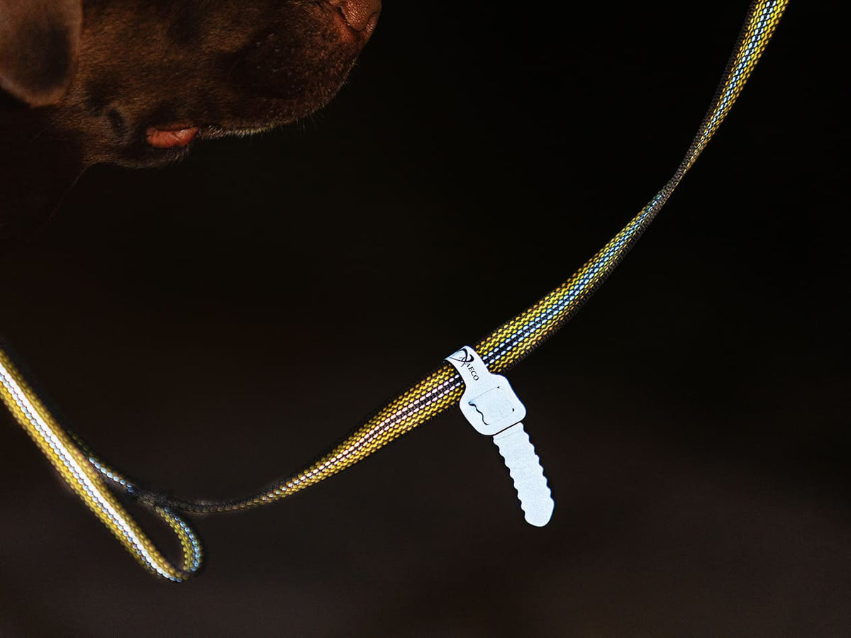Fascia riflettente sul guinzaglio Grip
