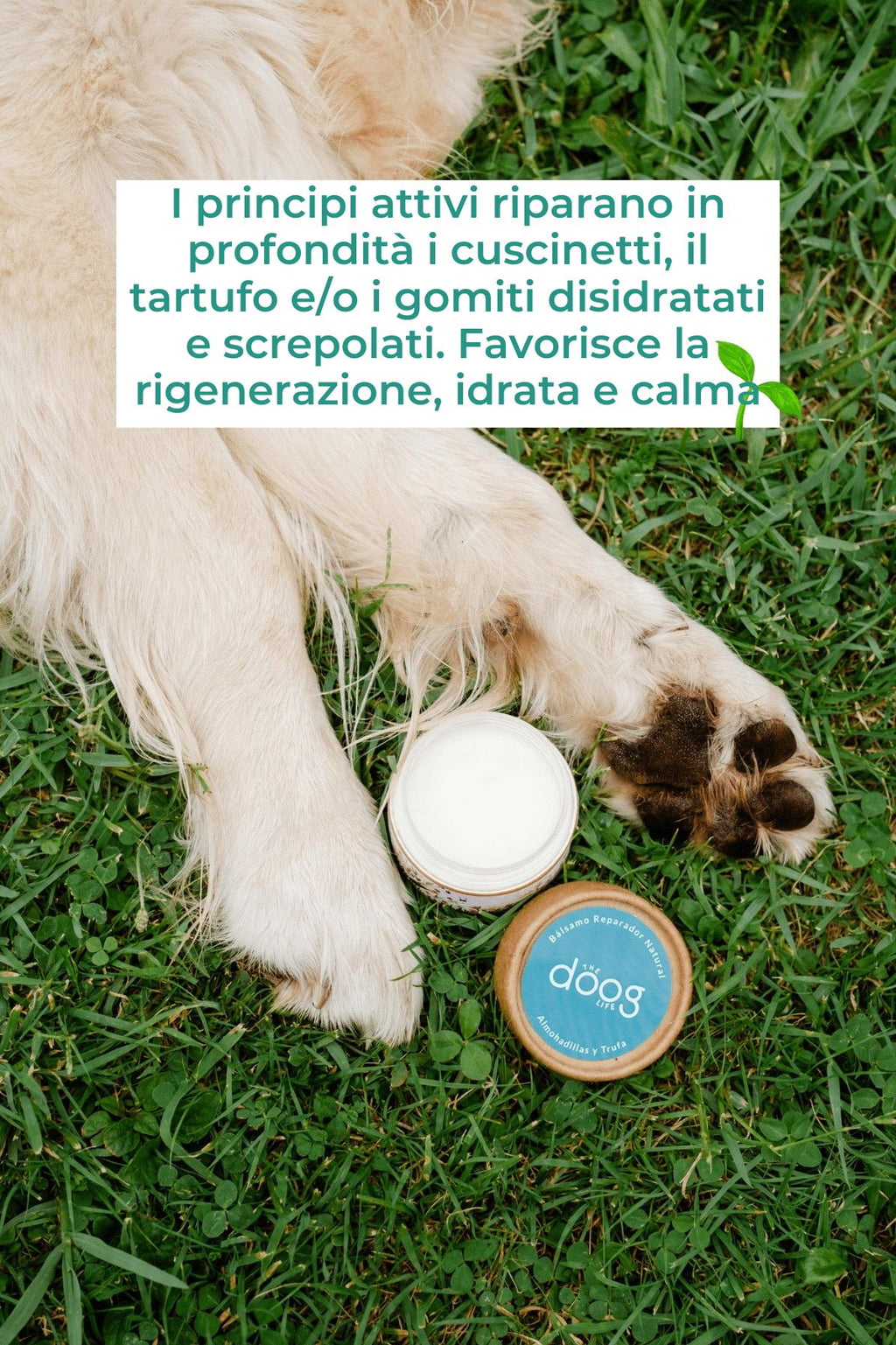 Balsamo riparatore cuscinetti, gomiti e tartufo cane.