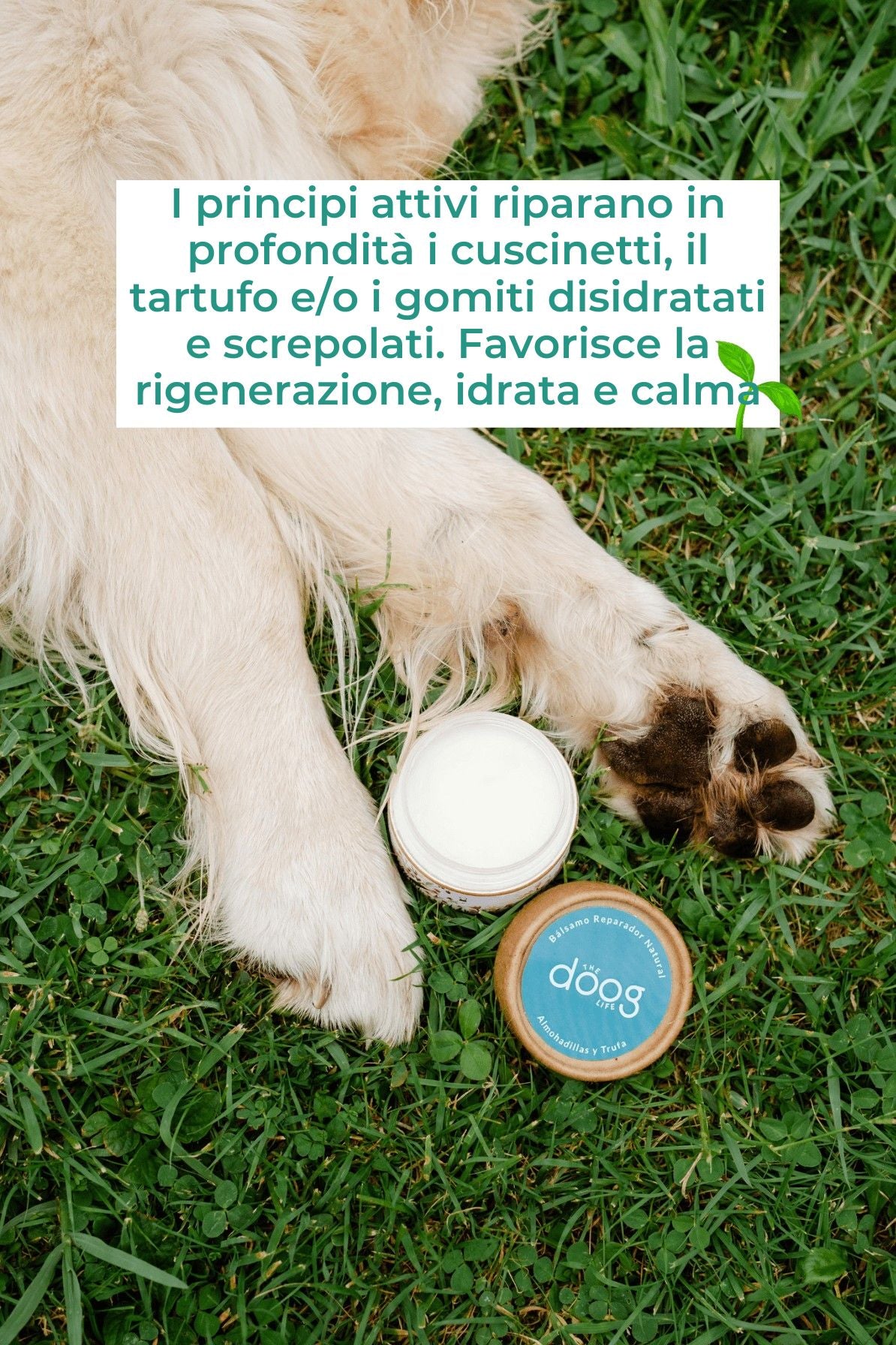 Balsamo riparatore cuscinetti, gomiti e tartufo cane.