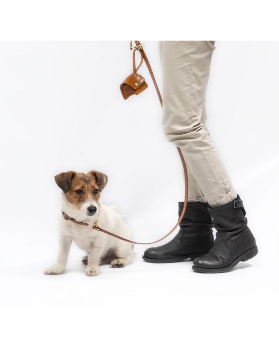 collare e guinzaglio cani in pelle