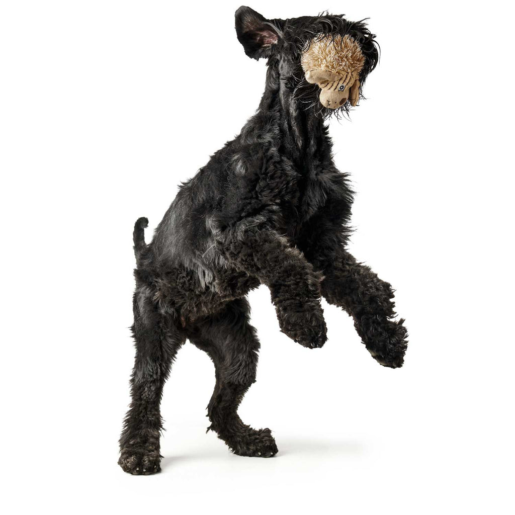 Giocattolo per cani Pori di Hunter