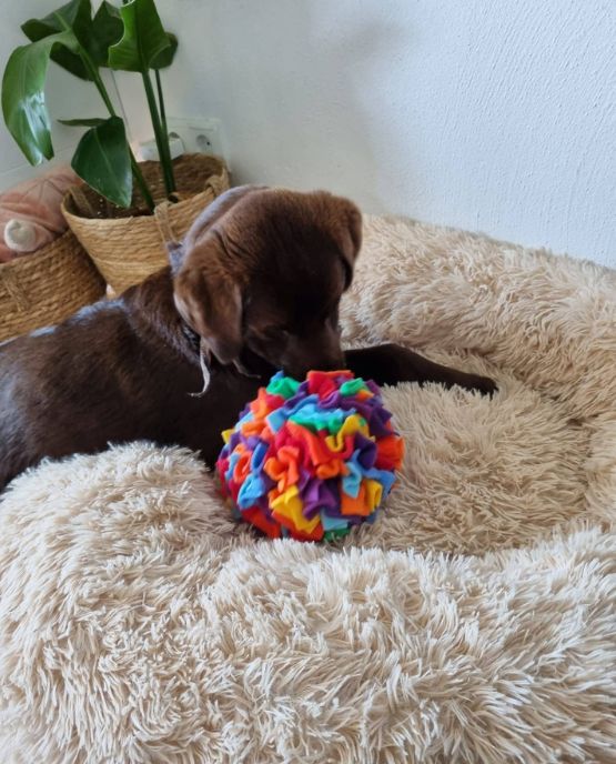 Sniffball palle da sniffare per cani e gatti