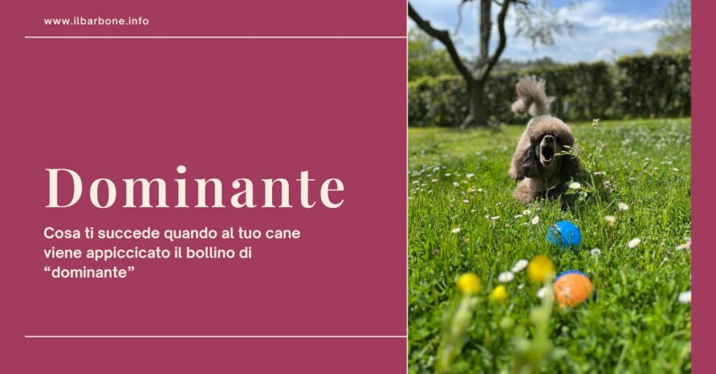 appiccicare al cane etichetta di dominante