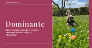 appiccicare al cane etichetta di dominante