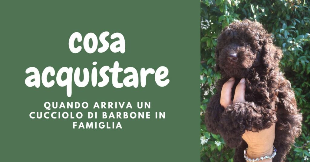 arriva un cucciolo cosa acquistare