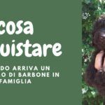arriva un cucciolo cosa acquistare