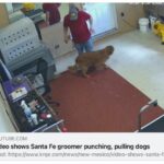 valuta il toelettatore